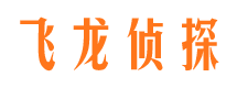 江陵市调查公司